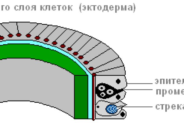 Активная ссылка кракен