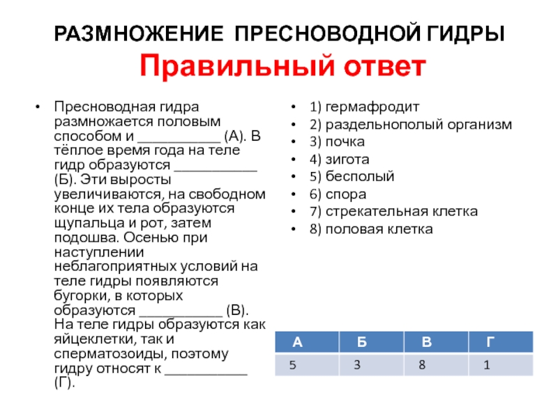 Кракен драг